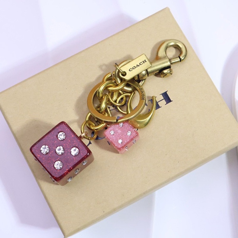 Coach Sieve Keychain Bag Charm - Picture 4 of 6